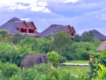 Buffalo Safari Lodge