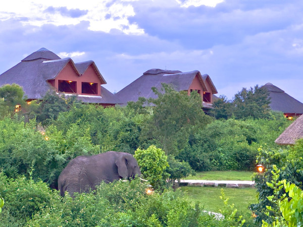 Buffalo Safari Lodge
