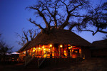 Elewana Tarangire Treetops