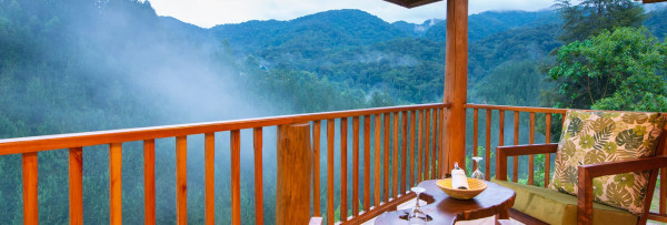 GORILLA LEISURE LODGE-BWINDI